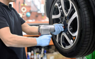 1652772701-petlas-yazlastigi-1-2